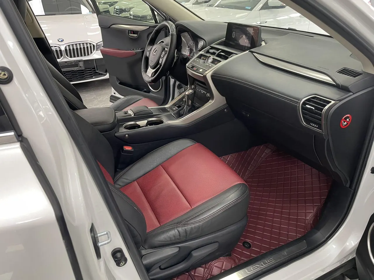 Lexus NX (Imported) 2020 NX200 2.0 Stepless Front Edition Automatic Gear 6