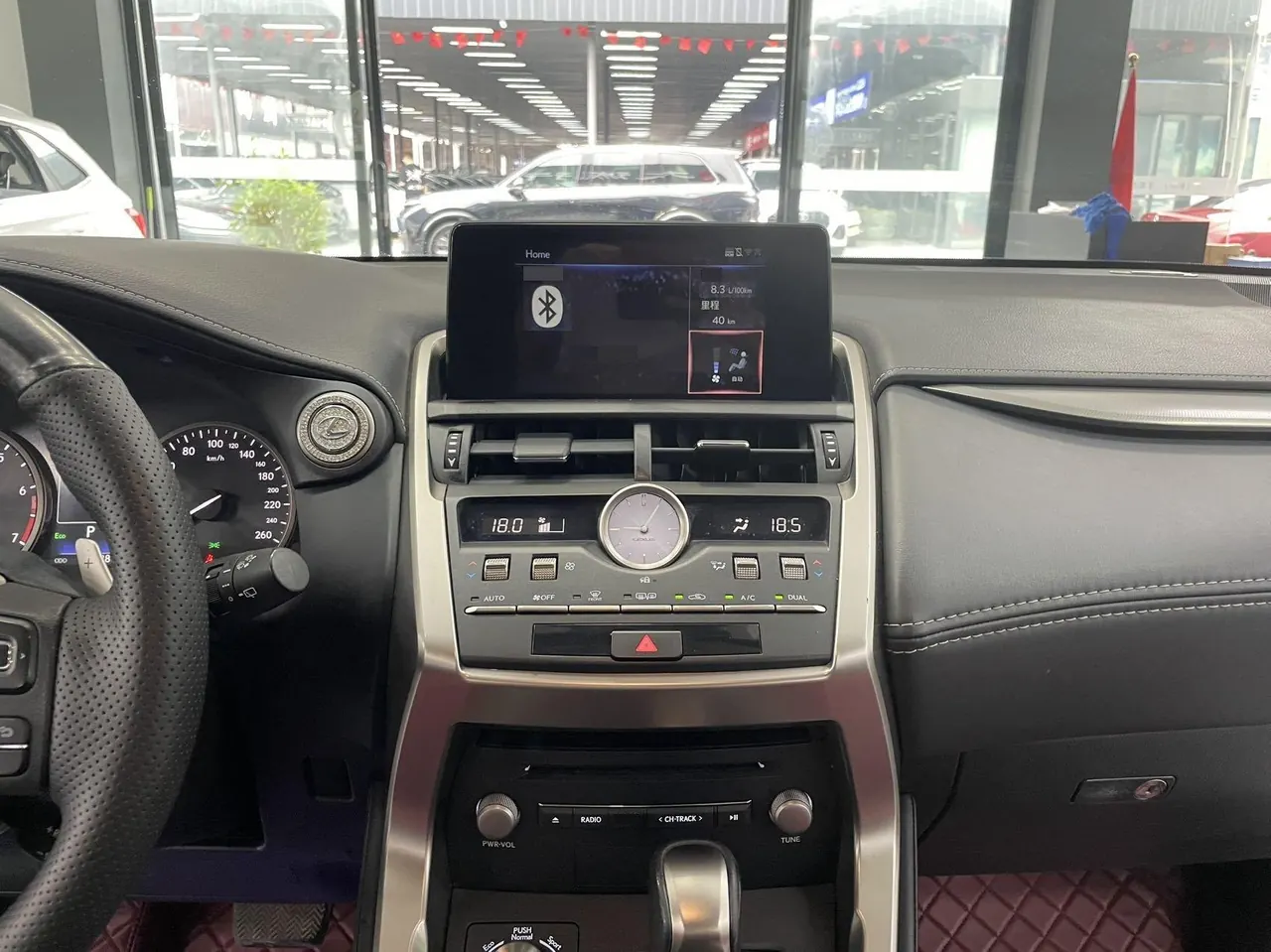 Lexus NX (Imported) 2020 NX200 2.0 Stepless Front Edition Automatic Gear 9
