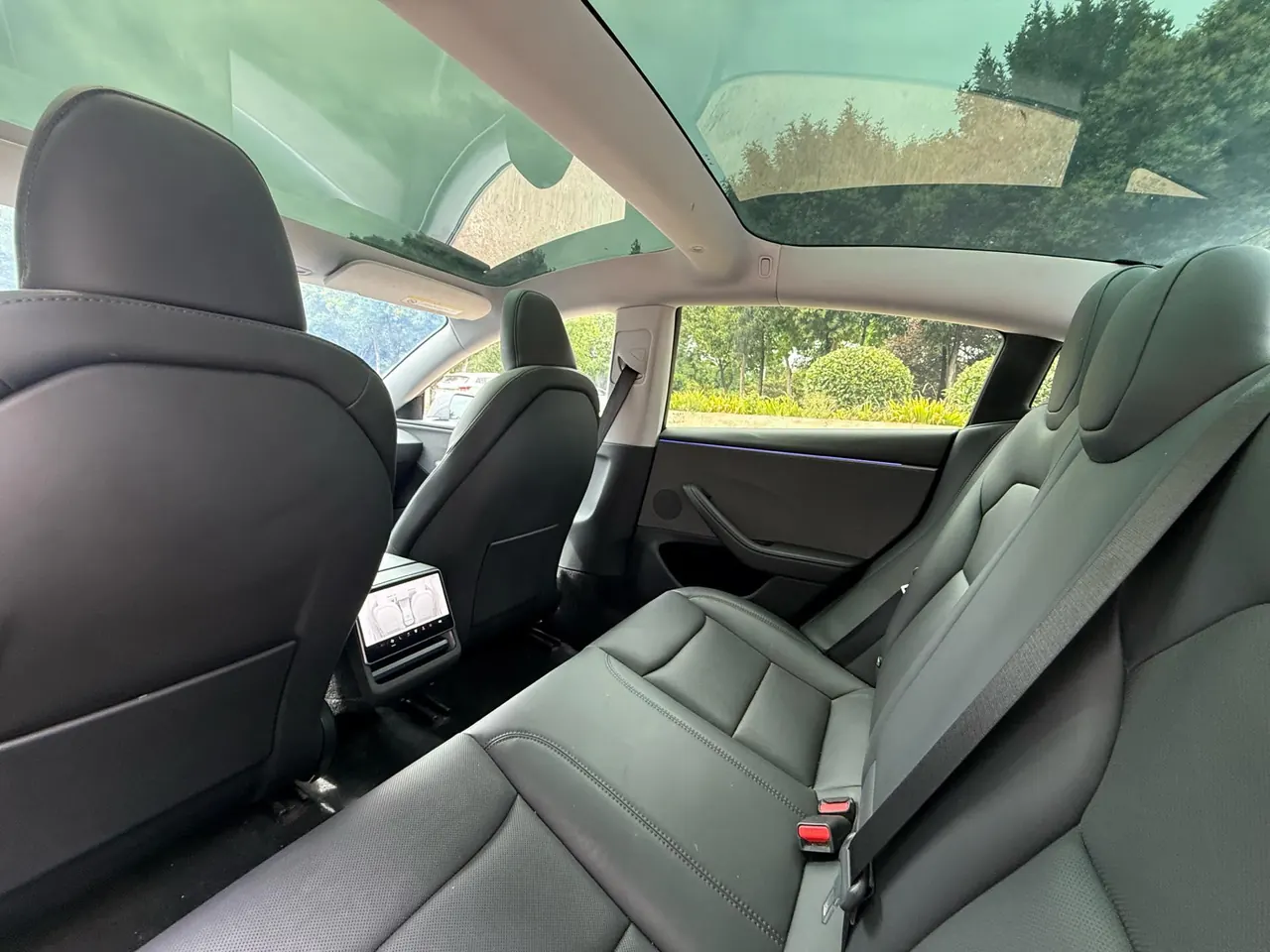 Tesla 2023 Model 3 Rejuvenation Edition Rear Wheel Drive Automatic Transmission 9