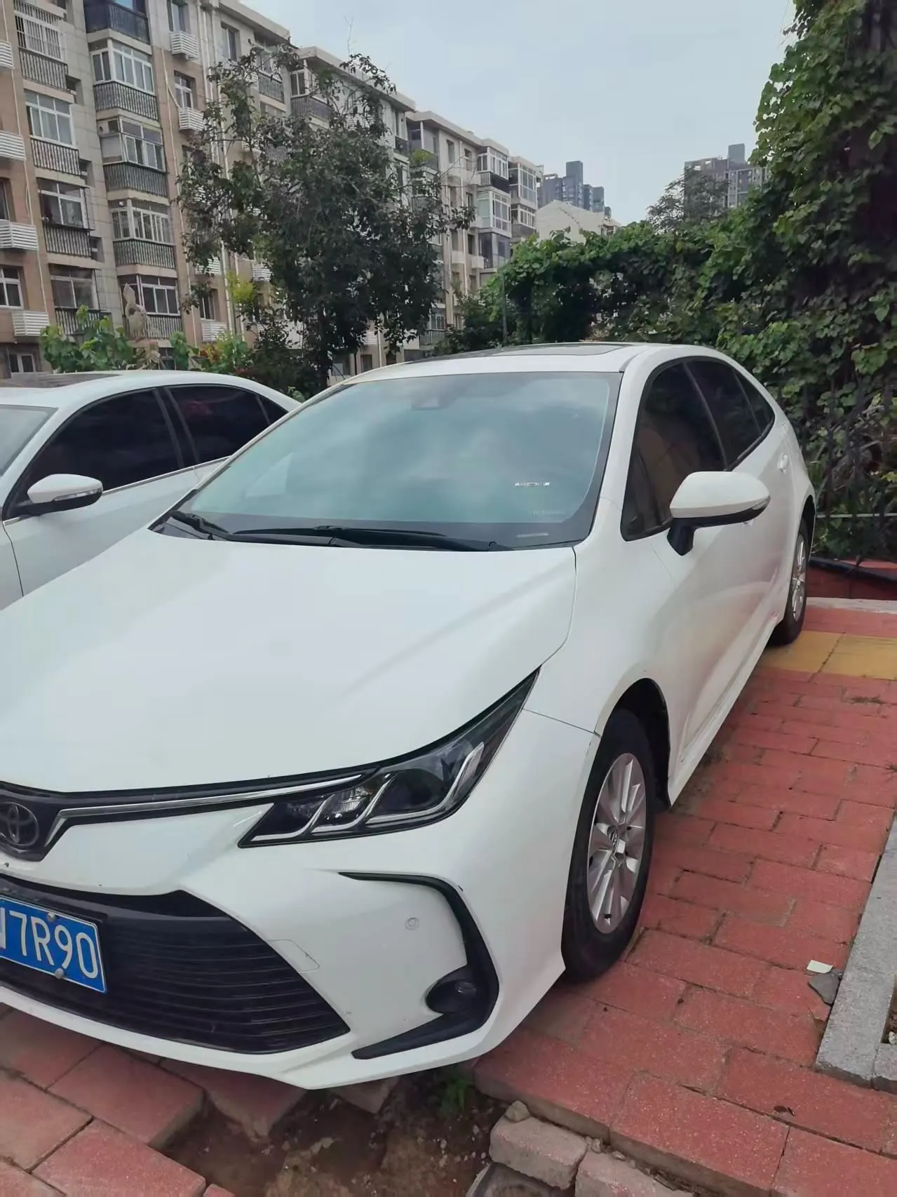 Toyota 2021 corolla 1.2T stepless elite version of automatic gear - View 1