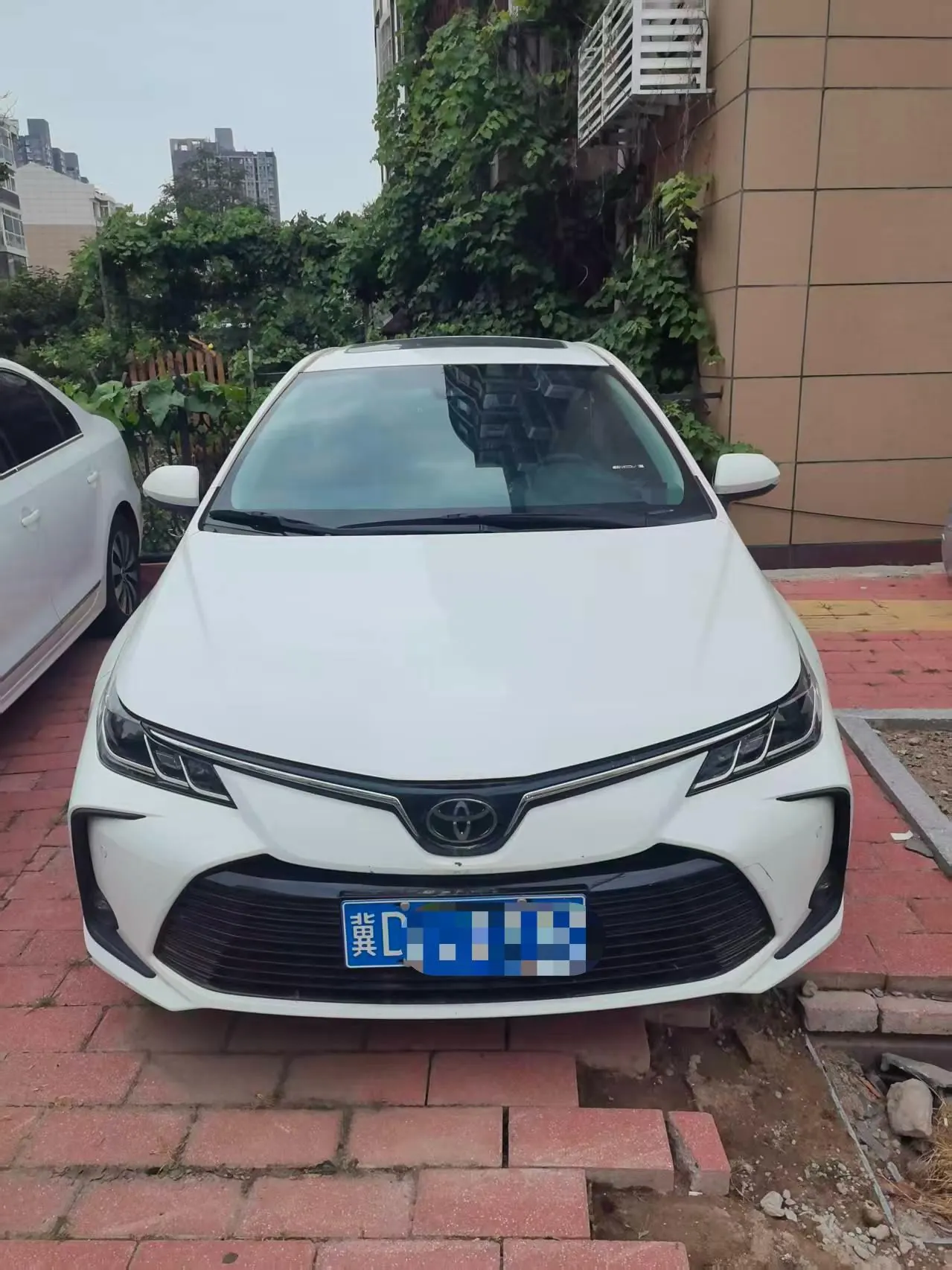 Toyota 2021 corolla 1.2T stepless elite version of automatic gear 2