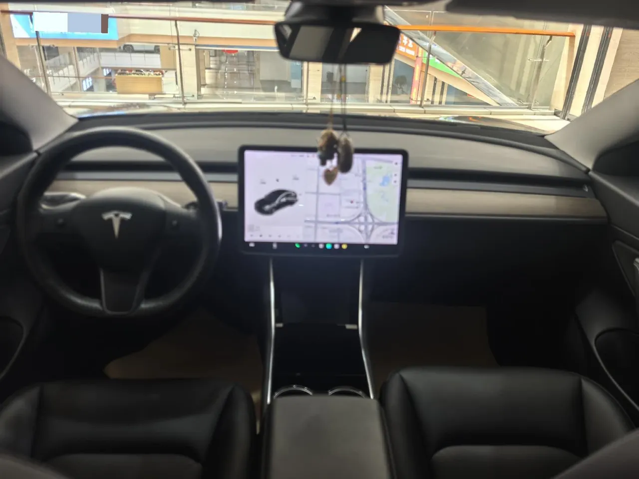 Tesla 2021 Model 3 Standard Endurance Rear Drive Upgraded Automatic Gear 5