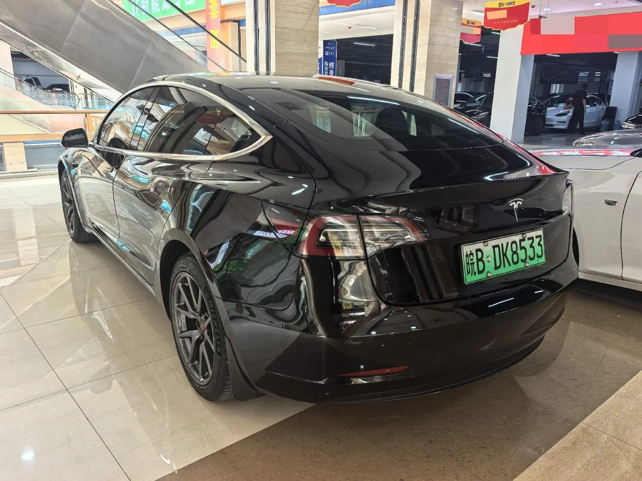 Tesla 2021 Model 3 Standard Endurance Rear Drive Upgraded Automatic Gear 6