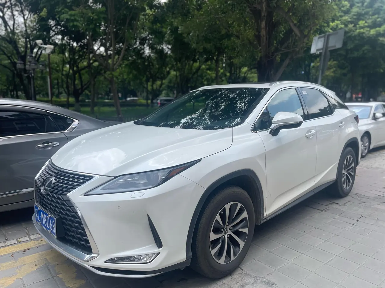 Open image lightbox: Lexus RX (Imported) 2020 RX300 2.0T Two-Drive Elite Edition (Revised) Automatic Gear