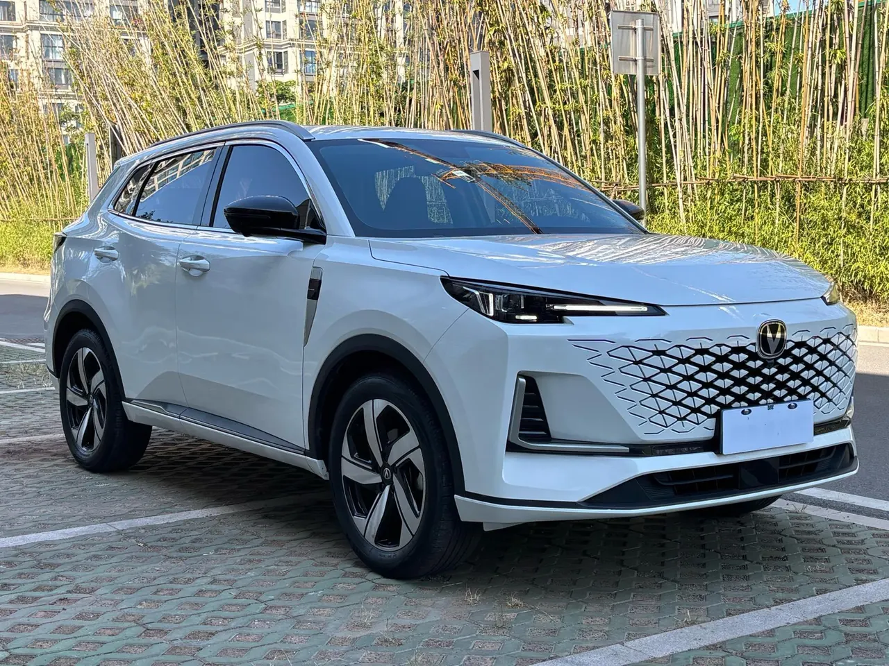ChangAn 2024 CS55 PLUS 1.5T Honorable Automatic Gear 3