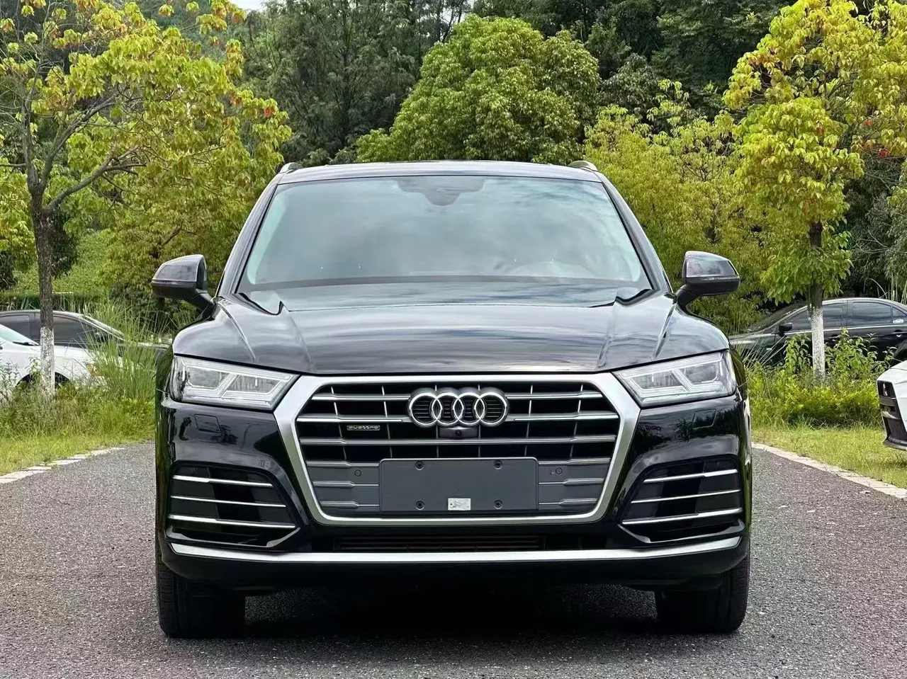 Audi 2020 Q5L 2.0TFSI 45TFSI exclusive fashion automatic 2