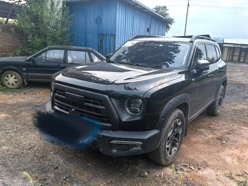 Haval 2024 big dog 2.0T Chinese garden dog version automatic gear - View 1