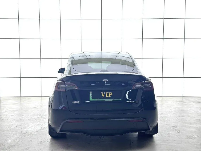 Tesla 2022 Model Y rear-wheel drive version automatic transmission 9