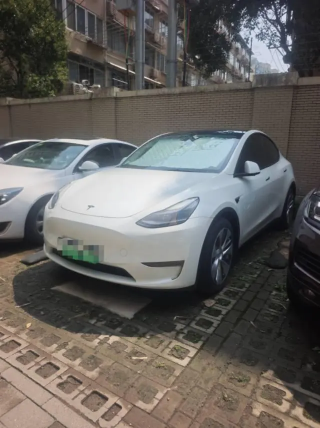 Tesla 2021 Model Y Standard Endurance Rear Drive Automatic Gear - View 1