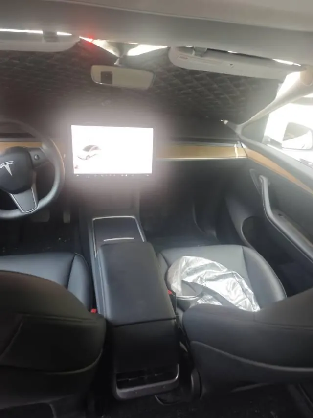 Tesla 2021 Model Y Standard Endurance Rear Drive Automatic Gear 5