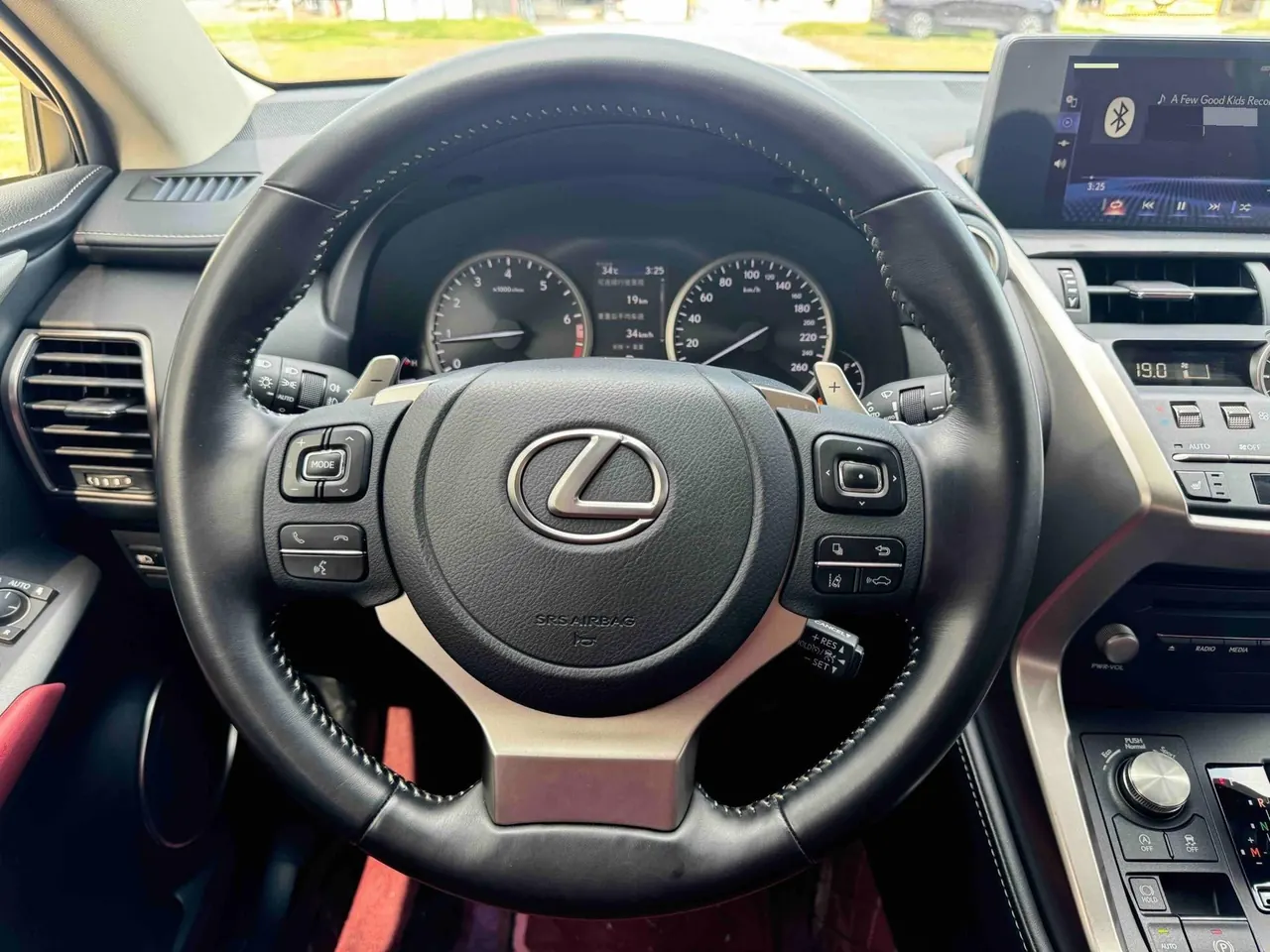 Lexus NX (Imported) 2020 NX200 2.0 Stepless Front Edition Automatic Gear 13