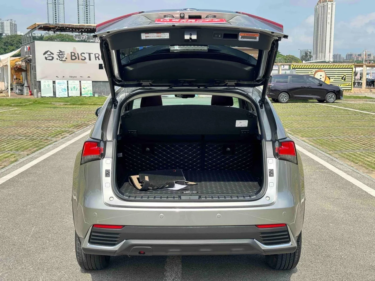 Lexus NX (Imported) 2020 NX200 2.0 Stepless Front Edition Automatic Gear 17