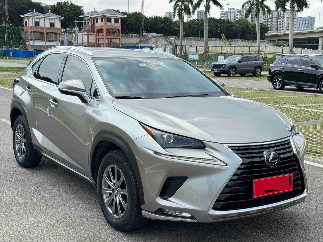 Lexus NX (Imported) 2020 NX200 2.0 Stepless Front Edition Automatic Gear 8