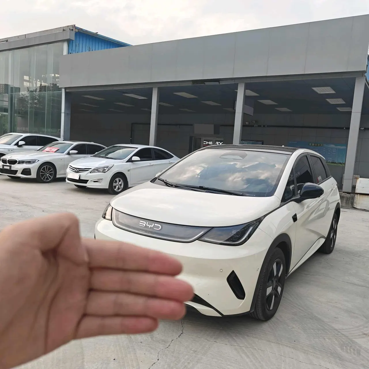BYD 2025 Dolphin Smart Driving 410km Fashion Automatic Gear - View 1