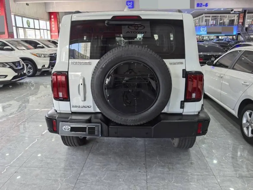 Tank 2024 Tank 300 48V 2.0T Crossing Automatic 5