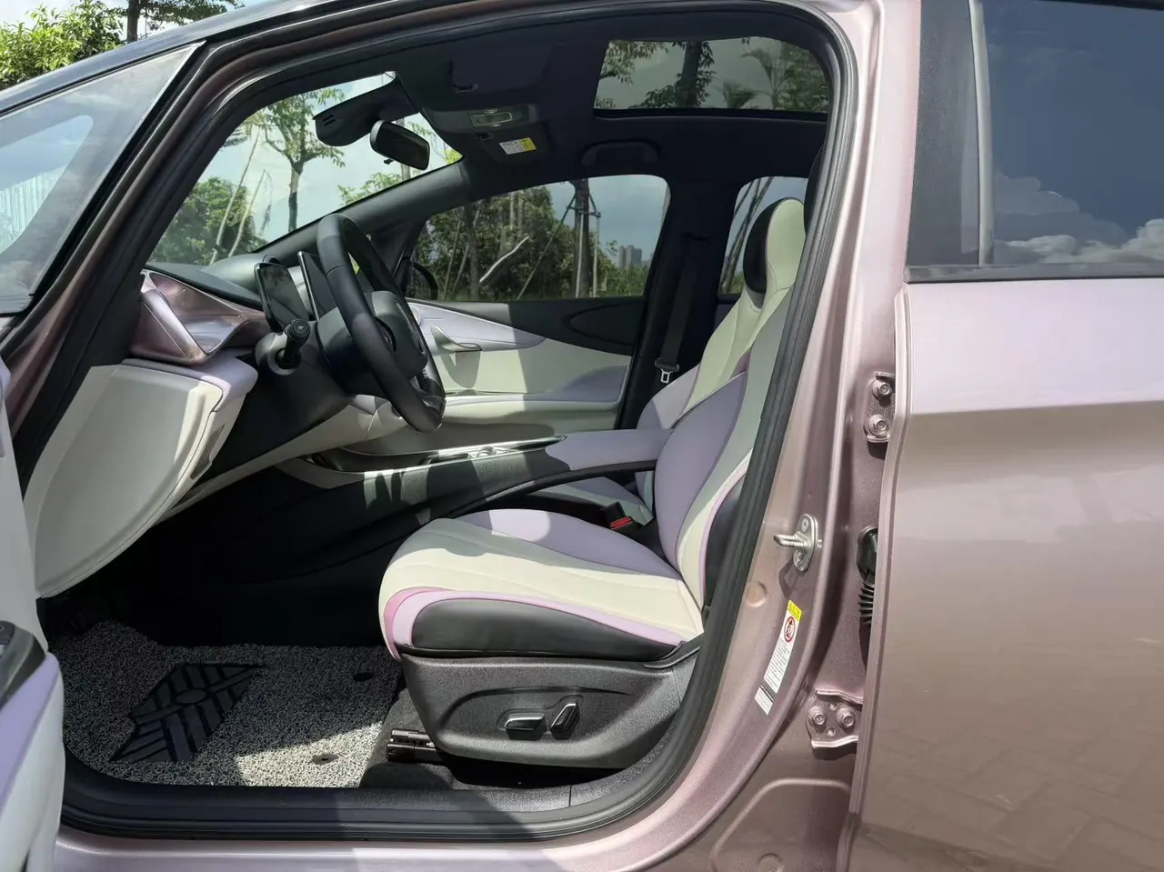BYD 2021 Dolphin 405km Fashion Edition Automatic 10
