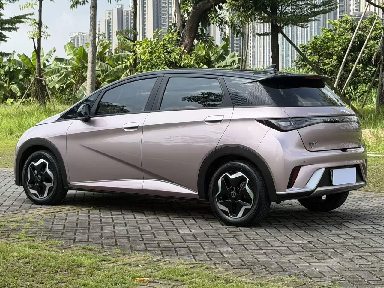 BYD 2021 Dolphin 405km Fashion Edition Automatic 12
