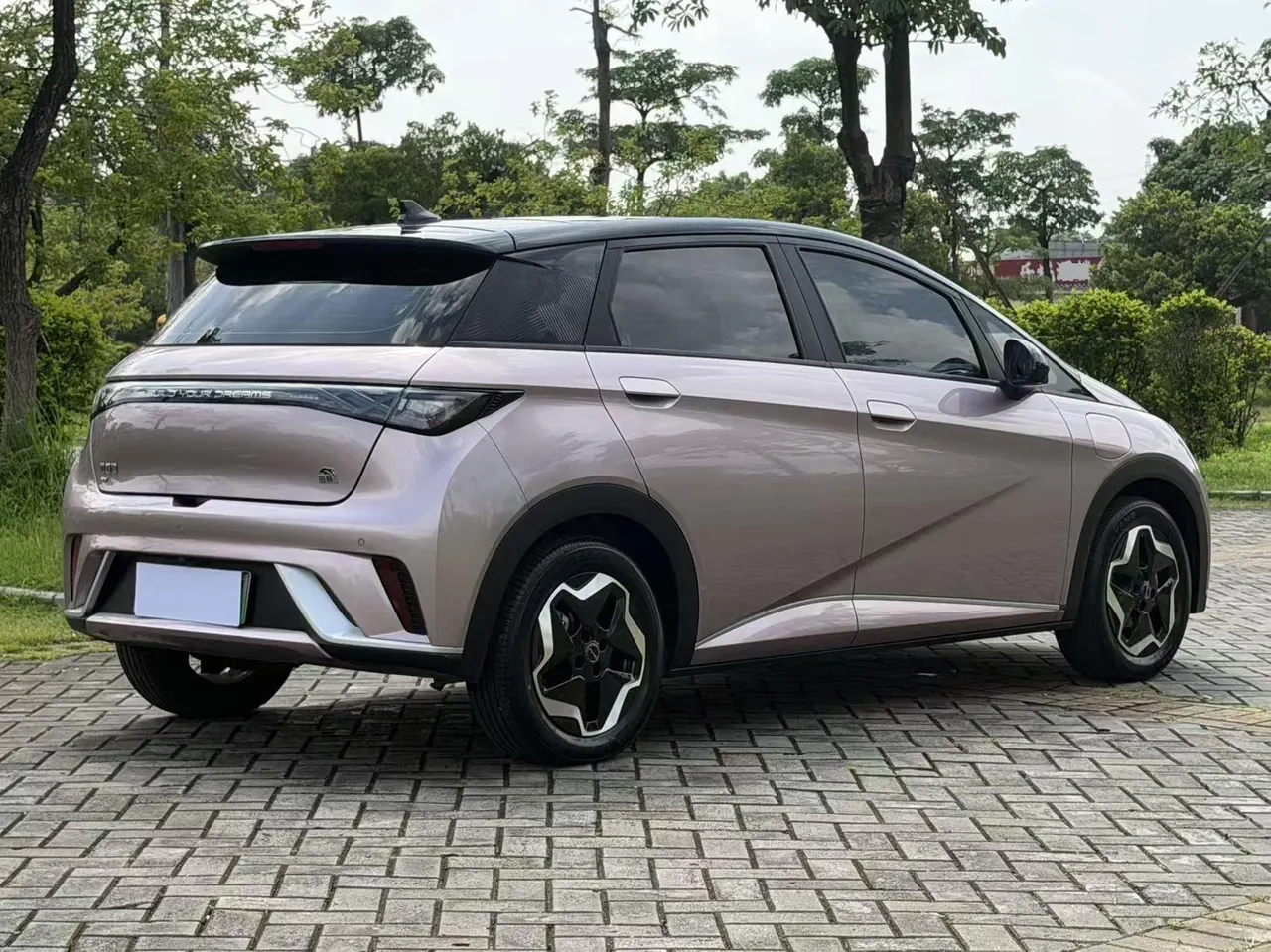 BYD 2021 Dolphin 405km Fashion Edition Automatic 13