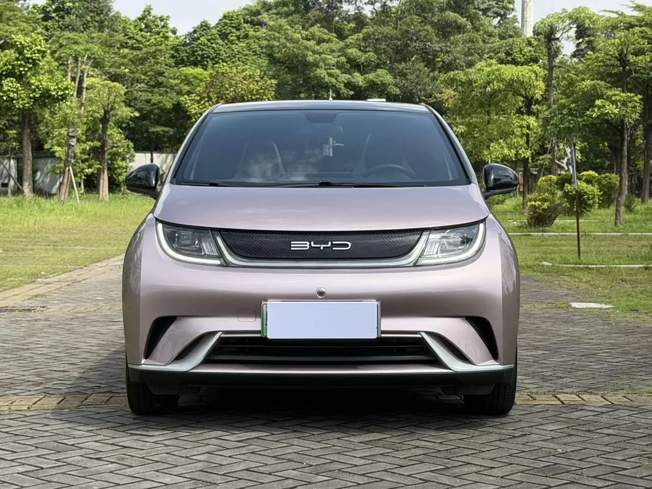 BYD 2021 Dolphin 405km Fashion Edition Automatic 2