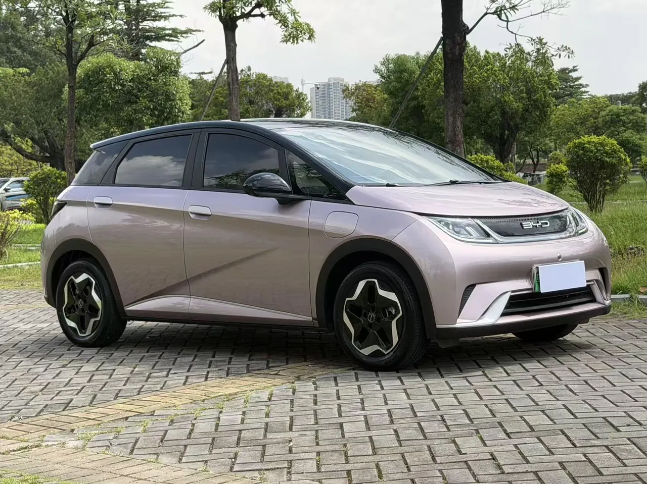 BYD 2021 Dolphin 405km Fashion Edition Automatic 3