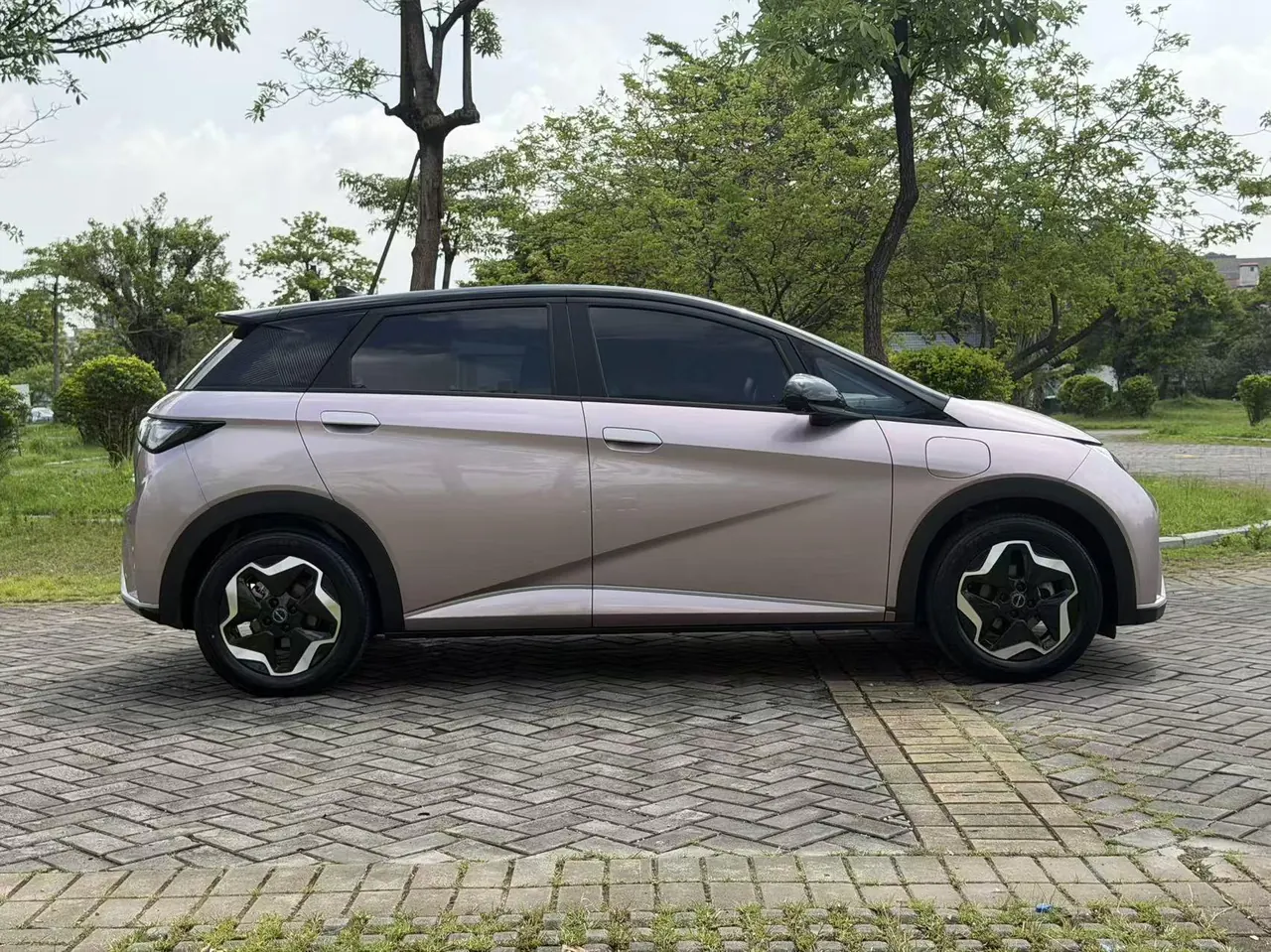 BYD 2021 Dolphin 405km Fashion Edition Automatic 4