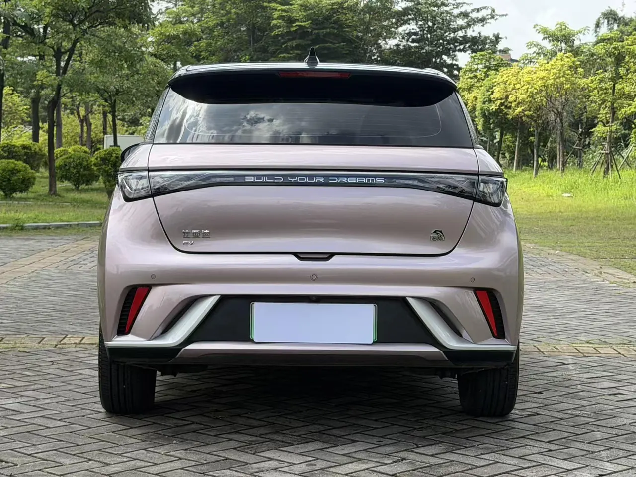 BYD 2021 Dolphin 405km Fashion Edition Automatic 8