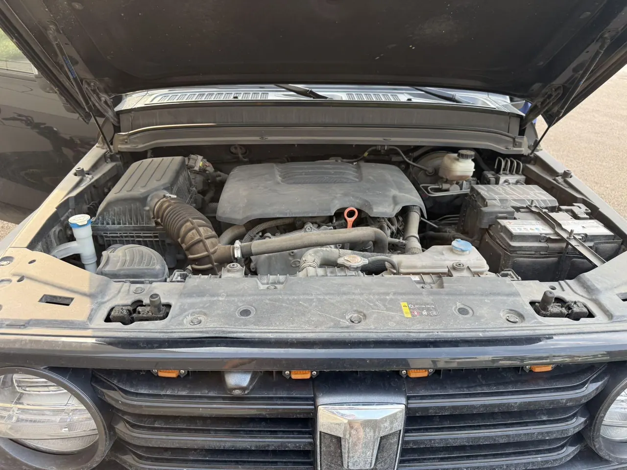 Tank 2021 Tank 300 2.0T Off-road Conqueror Automatic 5