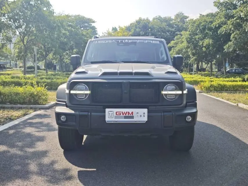 Tank 2021 Tank 300 2.0T Off-road Conqueror Automatic 2