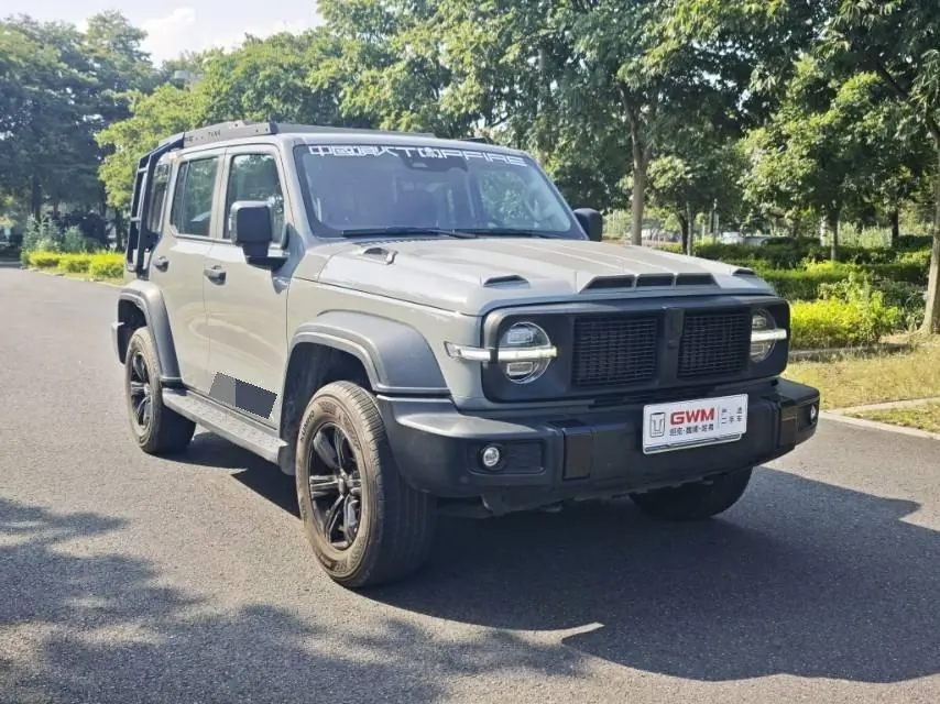 Tank 2021 Tank 300 2.0T Off-road Conqueror Automatic 3