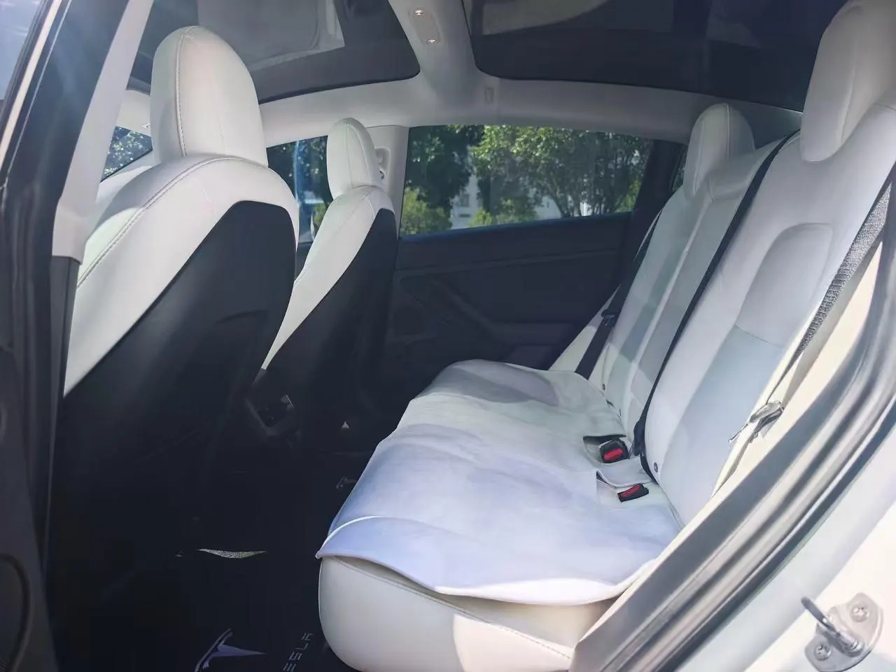 Tesla 2021 Model 3 Standard Endurance Rear Drive Upgraded Automatic Gear 5