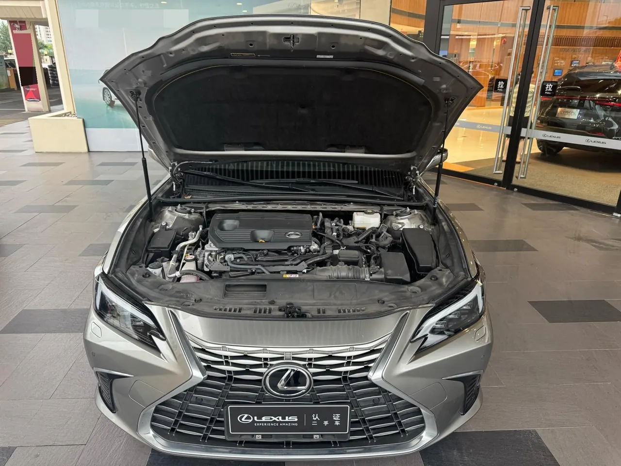 Lexus ES (Imported) 2025 ES300h 2.5 Stepless Premium Edition Automatic Gear 6