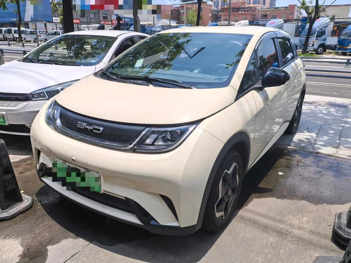 BYD 2021 Dolphins 405km Free Edition Automatic - View 1