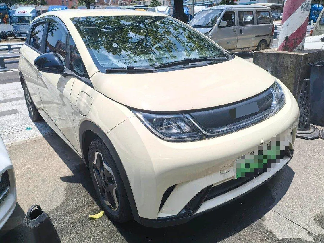 BYD 2021 Dolphins 405km Free Edition Automatic 2