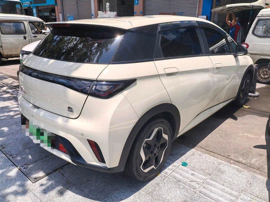 BYD 2021 Dolphins 405km Free Edition Automatic 3