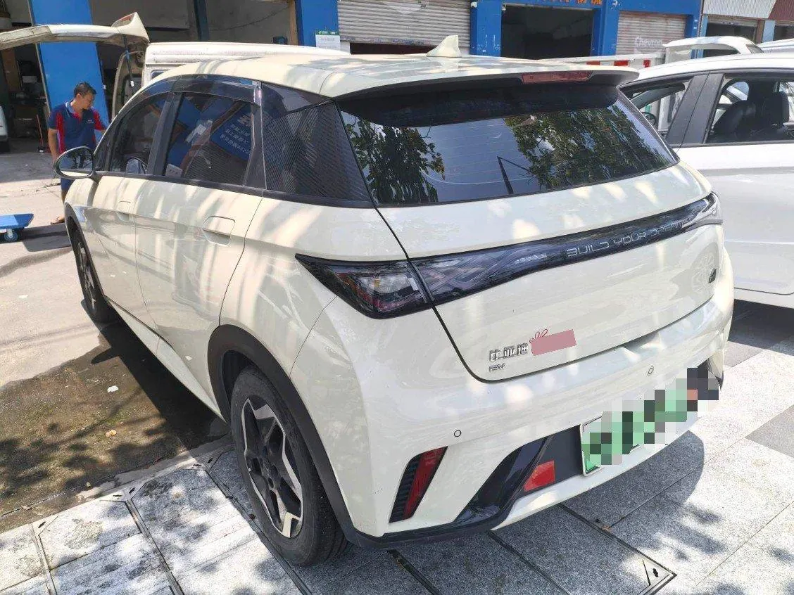 BYD 2021 Dolphins 405km Free Edition Automatic 4