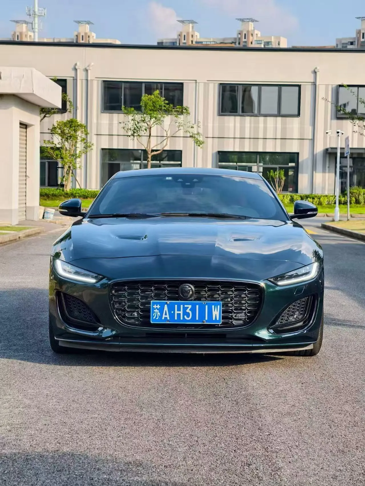 Jaguar F-Type (Imported) 2024 F-Type Coupe 2.0T P300 75th Anniversary Collection Hard Top Edition Automatic Gear 2