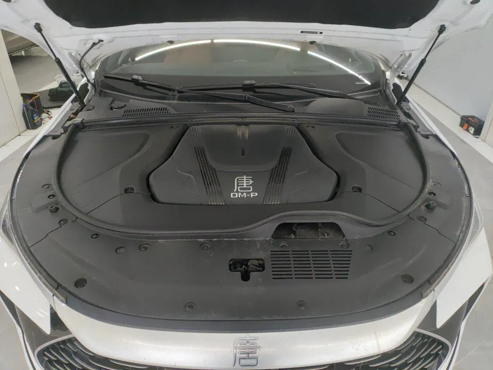 BYD Tang New Energy 2022 Tang DM-p 1.5T Stepless 215KM Four-wheel Drive Flagship Automatic Gear 11