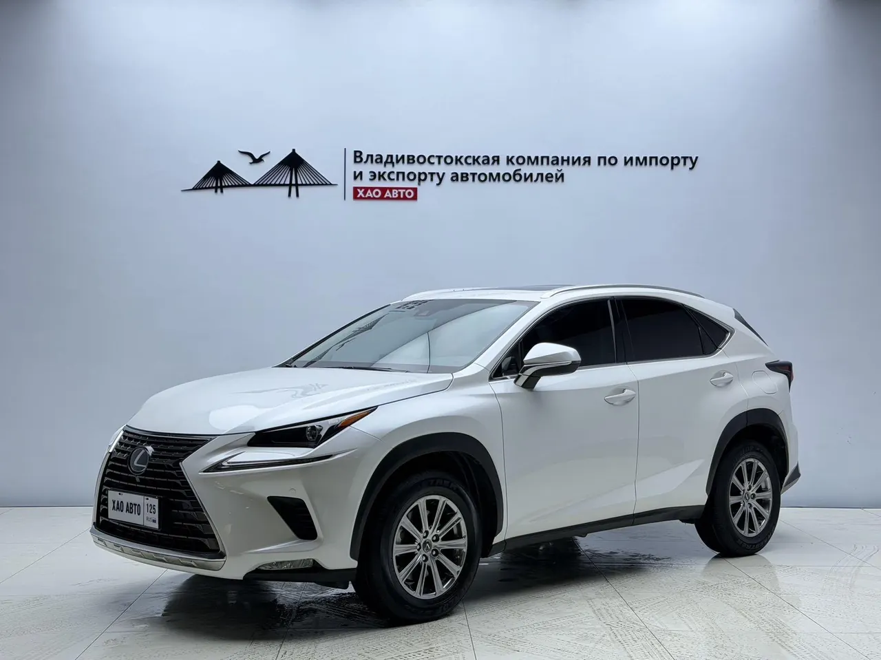 Lexus NX (Imported) 2020 NX200 2.0 Stepless Front Edition Automatic Gear - View 1