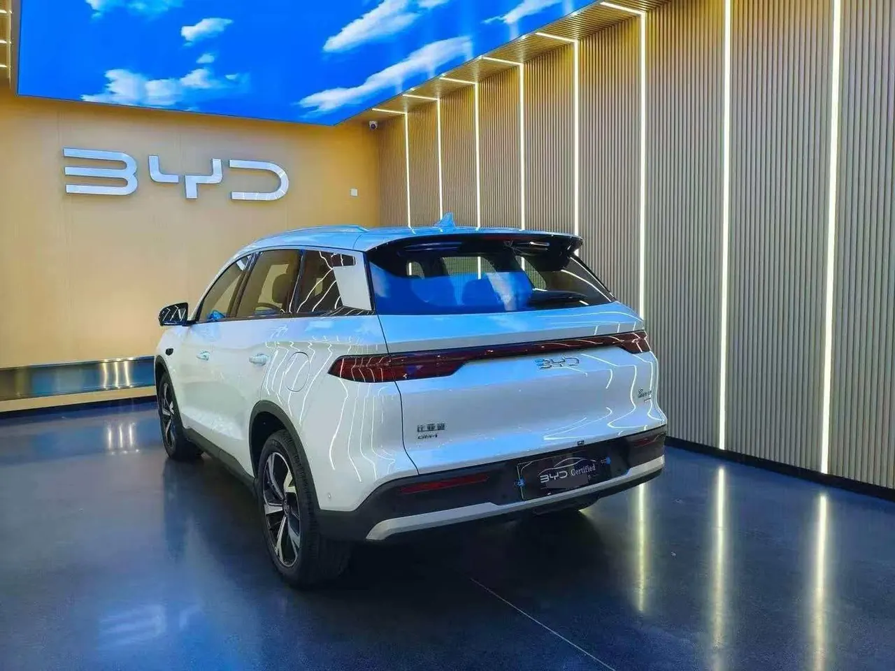 BYD Song Pro New Energy 2025 Song Pro DM-i 1.5 Stepless Smart Driving Edition 115KM Excellent Automatic Gear 4