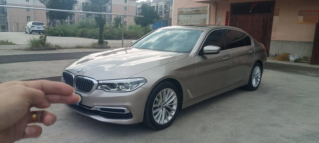 BMW 5 Series 2020 530Li 2.0T Premium Luxury Suit Automatic Gear - View 1