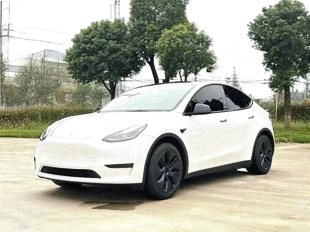Tesla 2024 Model Y rear-wheel drive version automatic transmission - View 1