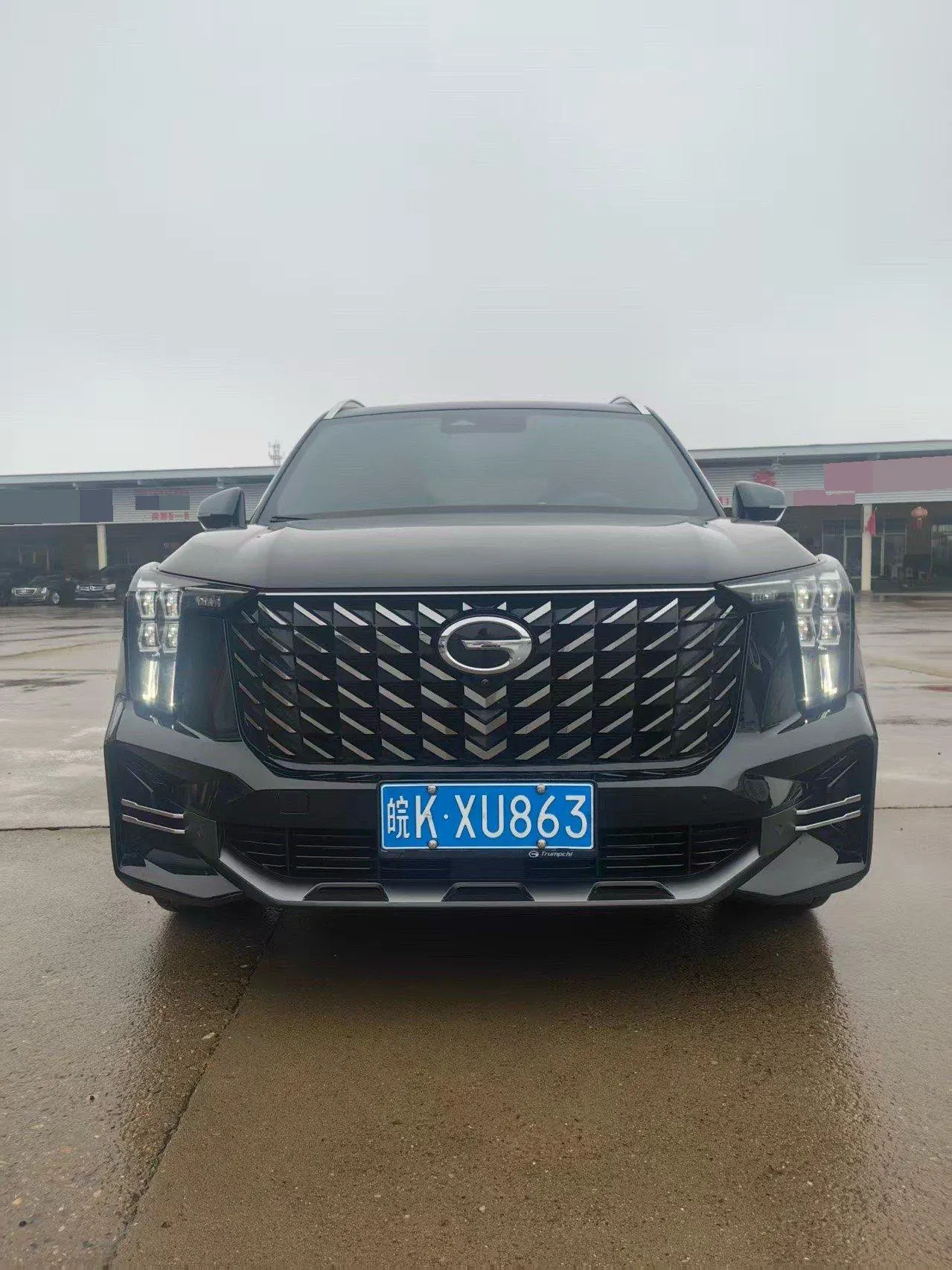Chuanqi 2022 GS8 2.0TGDI Two-Drive Deluxe Zhilian Edition Seven-seat Automatic Gear 2