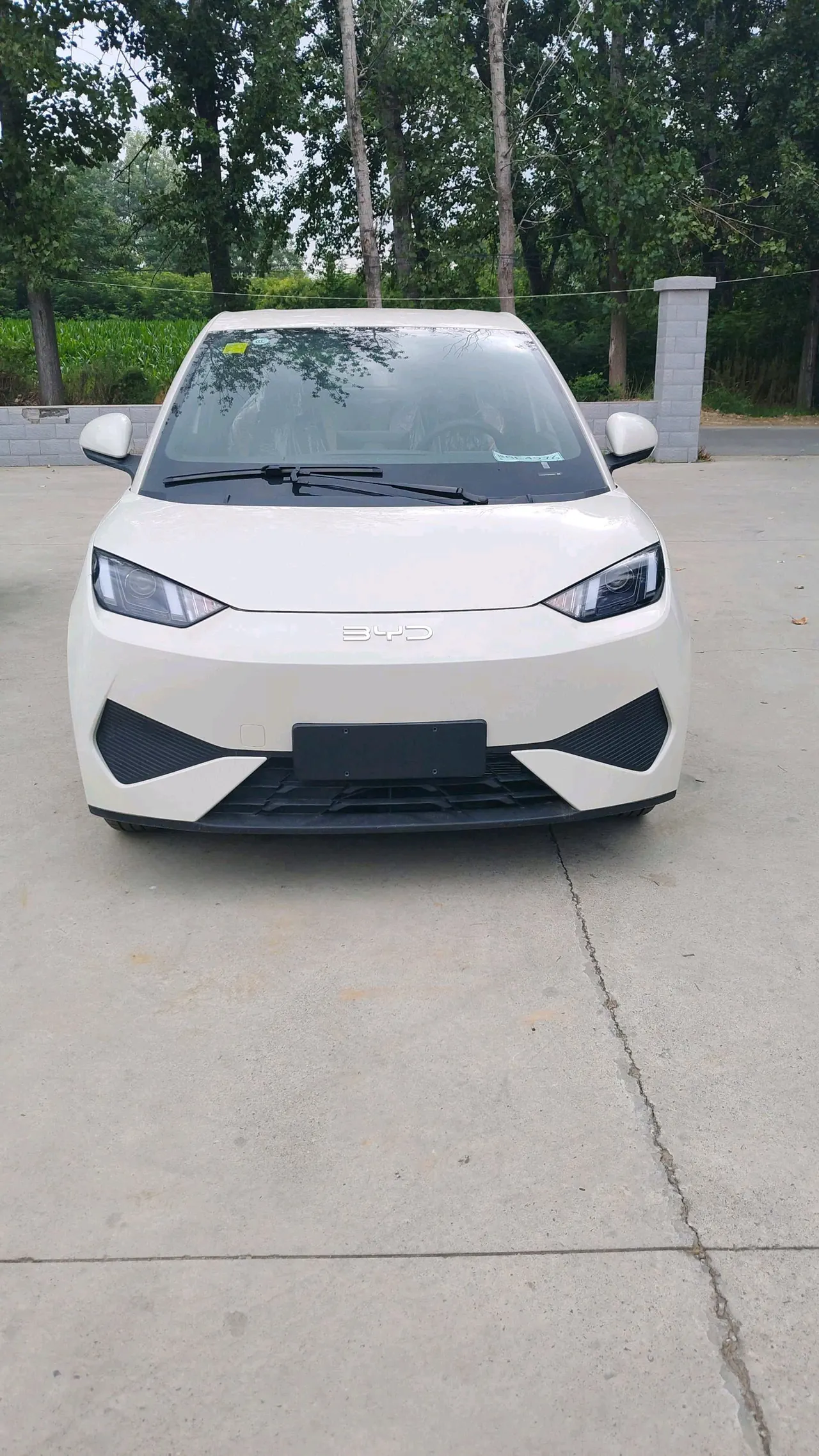 BYD 2025 Seagull Smart Driving Edition 305km Vital Edition Automatic Gear 2