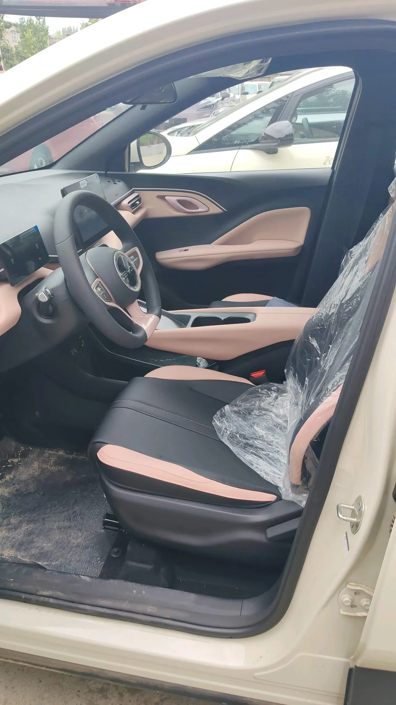 BYD 2025 Seagull Smart Driving Edition 305km Vital Edition Automatic Gear 4