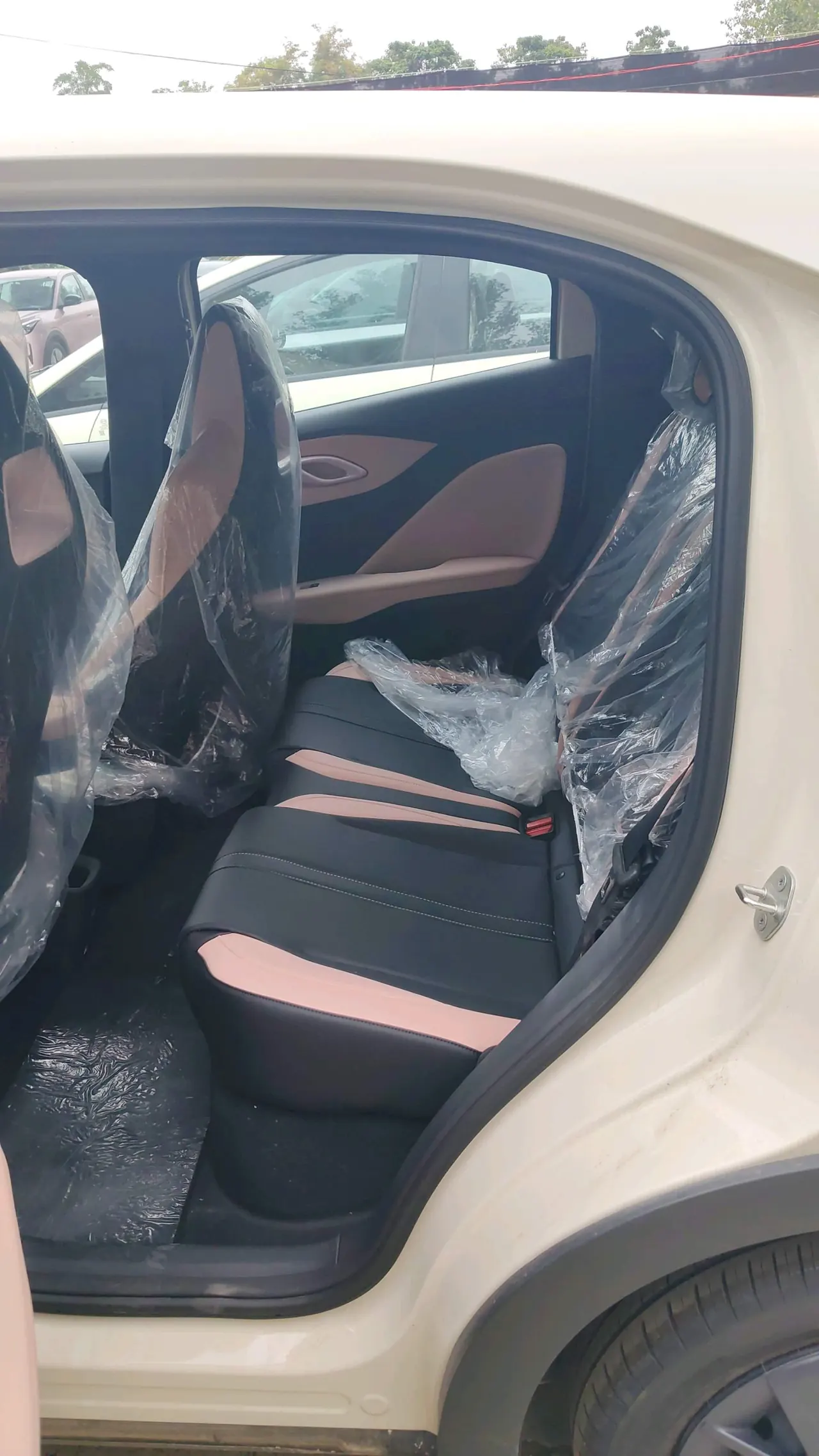 BYD 2025 Seagull Smart Driving Edition 305km Vital Edition Automatic Gear 5