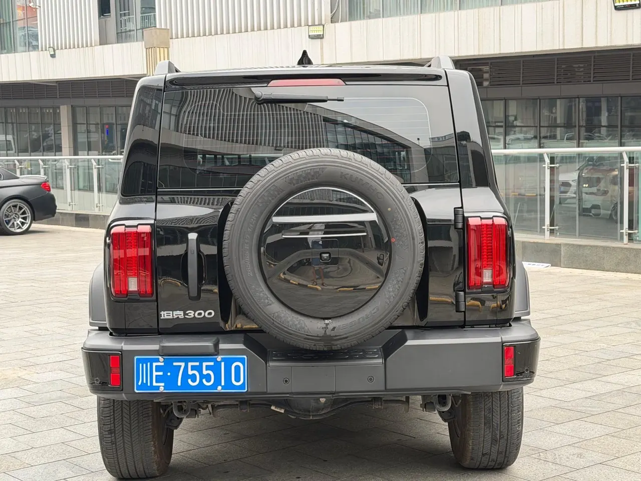 Tank 2023 Tank 300 2.0T Off-road Conqueror Automatic 7