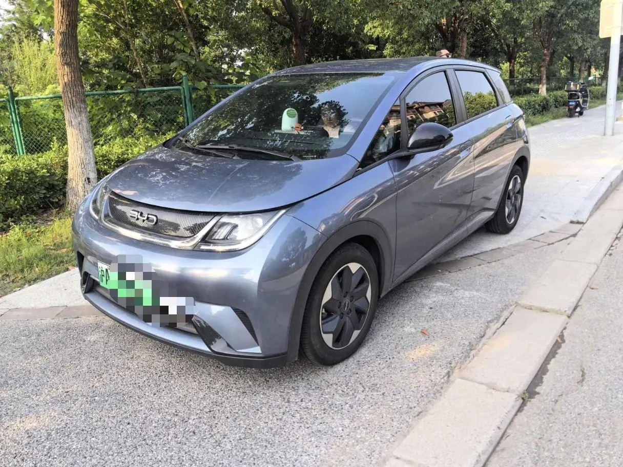 BYD 2025 Dolphins 420km Free Edition Automatic - View 1