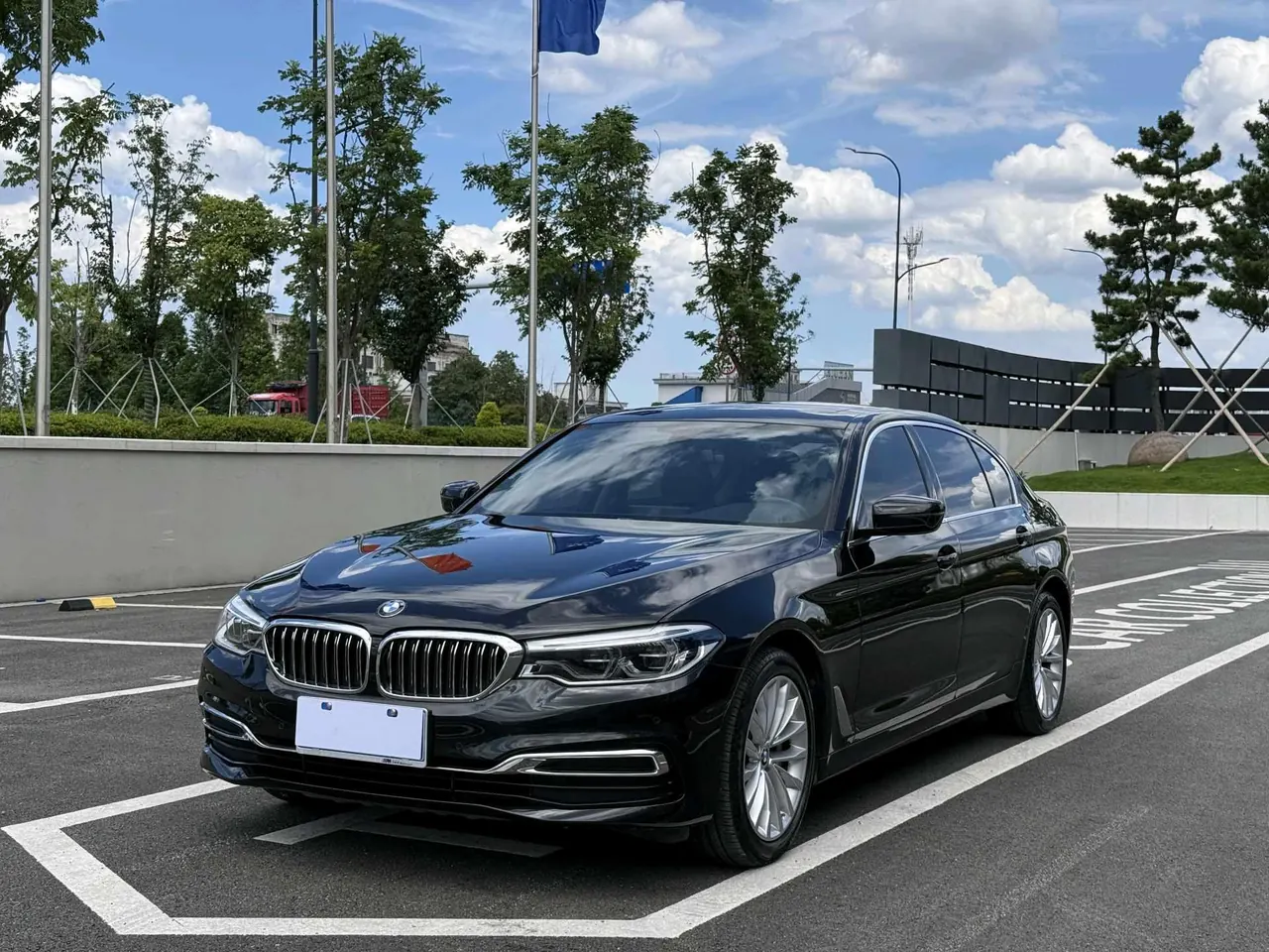 BMW 5 Series 2020 530Li 2.0T Leading Luxury Suit Automatic Gear - View 1