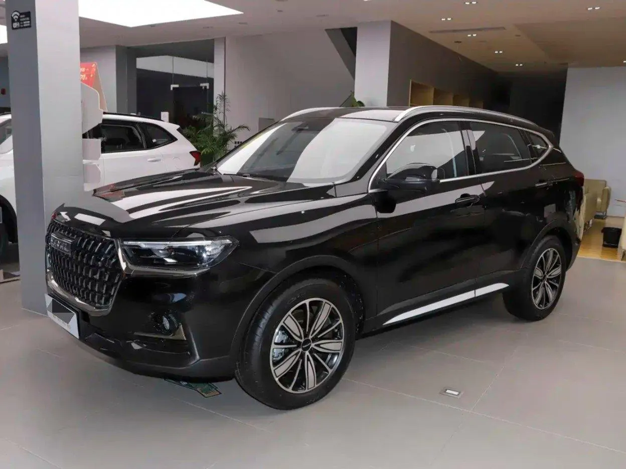 Haval 2023 H6 1.5T National Tide Champion Edition Automatic Gear - View 1