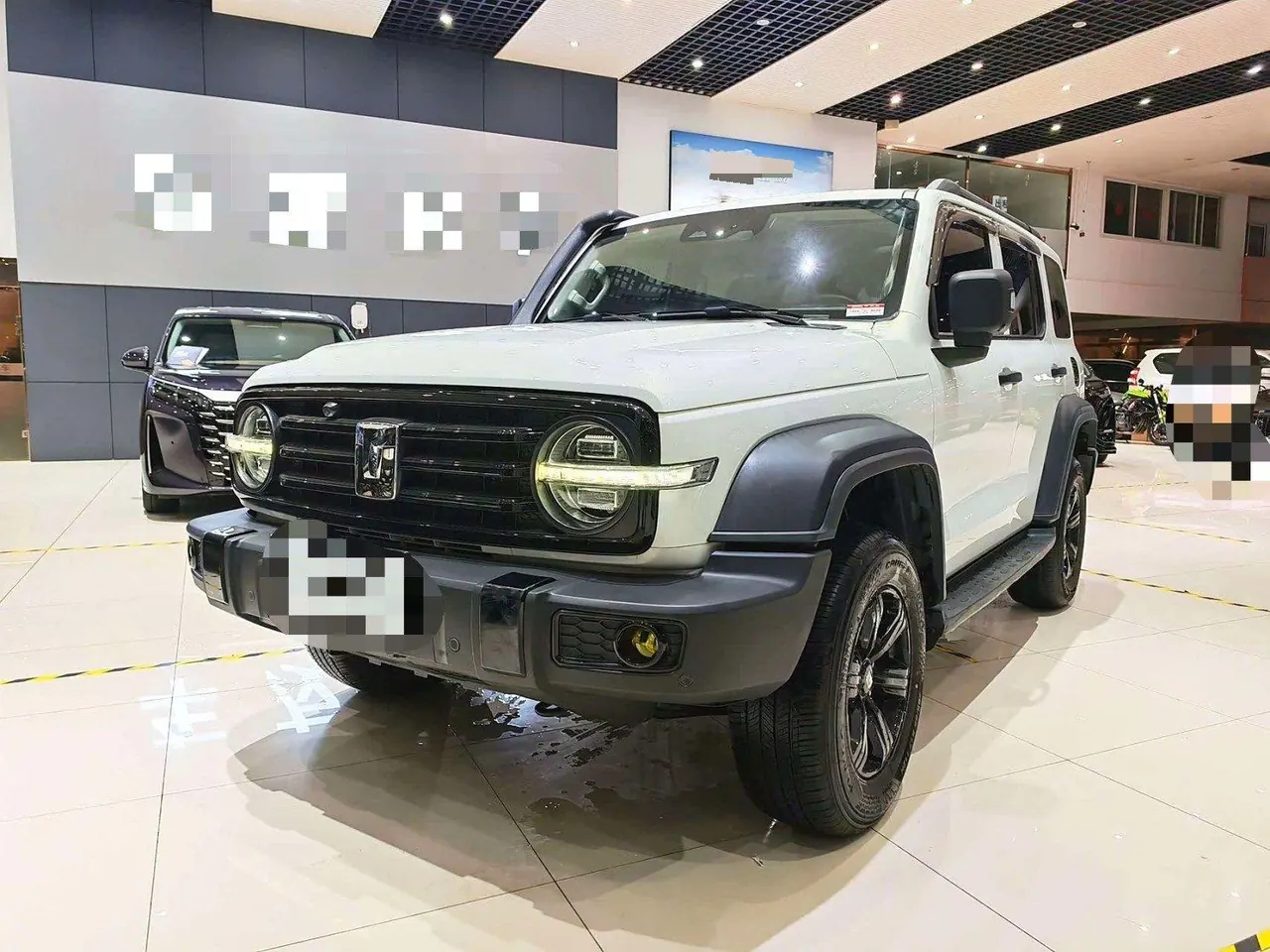 Tank 2021 Tank 300 2.0T Off-road Conqueror Automatic - View 1